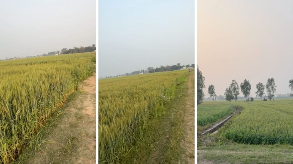 Residential Land for Sale in Khatima