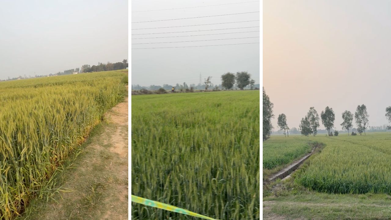 Property for sale in khatima